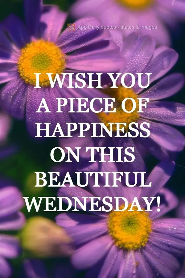 Desejo um bocado de felicidade para você nesta linda Quarta-feira!