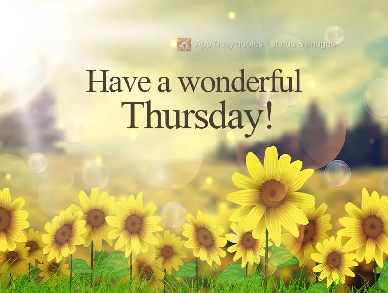 Have a wonderful Thursday! 