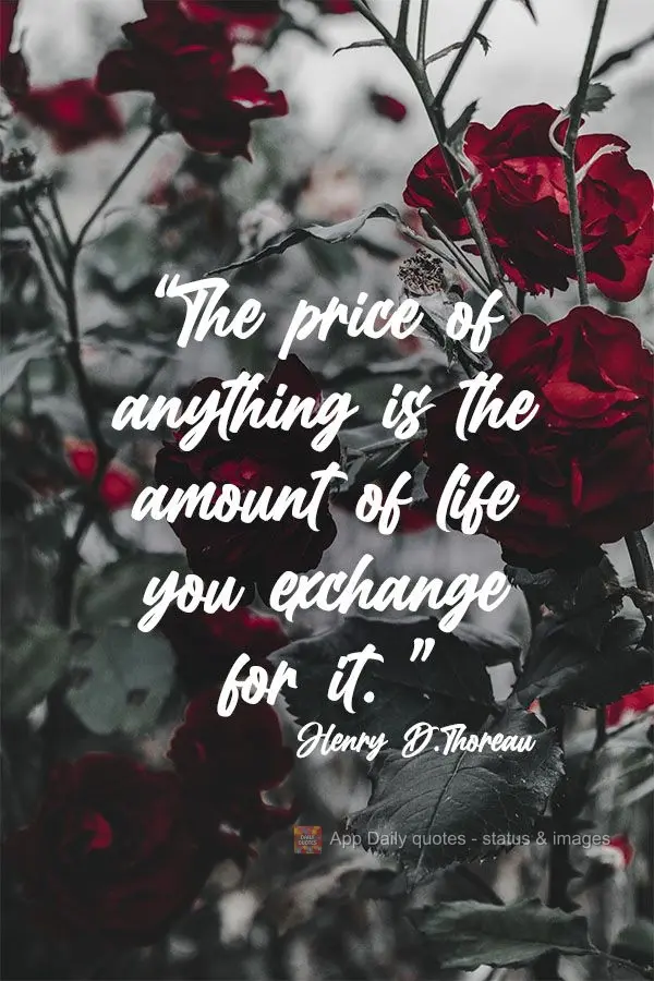 The price of anything is the amount of life you exchange for it.  Henry David Thoreau