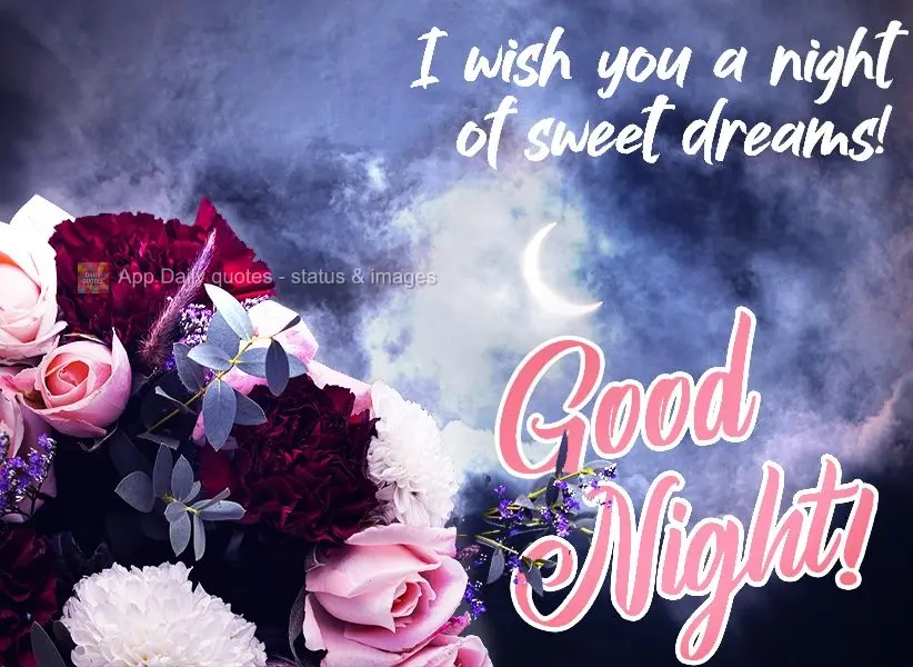 I wish you a night of sweet dreams!  Good night! 