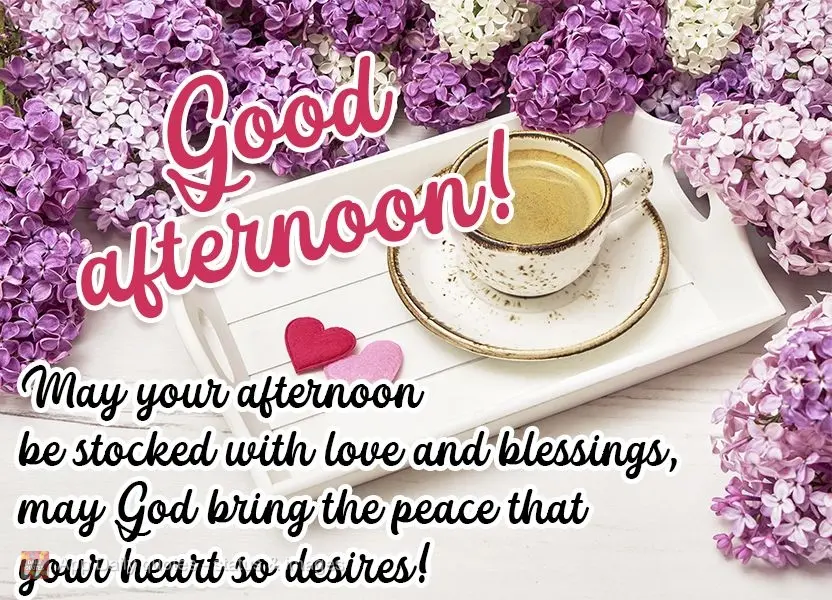 Que sua tarde seja repleta de amor e bênçãos, que Deus traga a paz desejada pro seu coração! Boa tarde! 