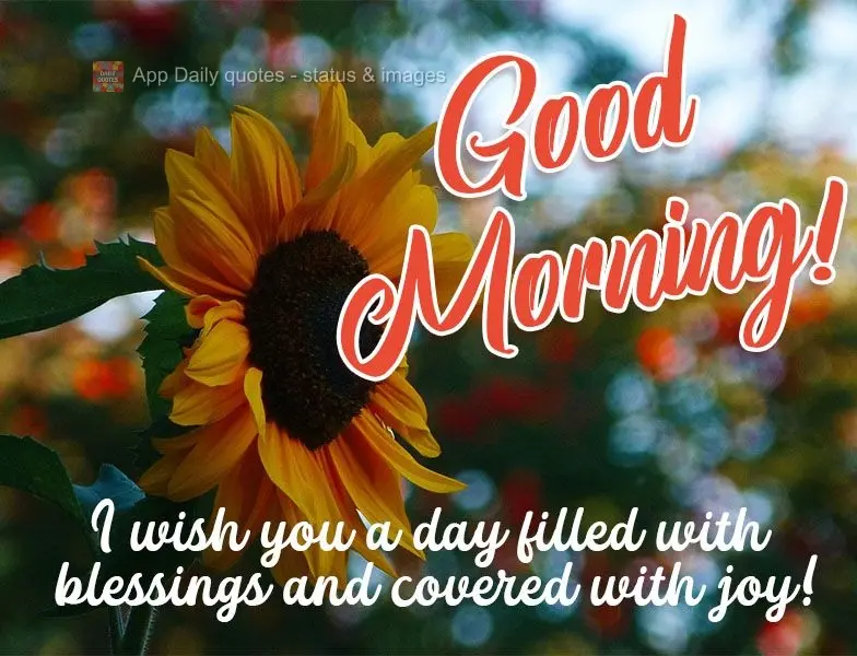 I wish you a day filled with blessings and showered with joy!  Good morning! 