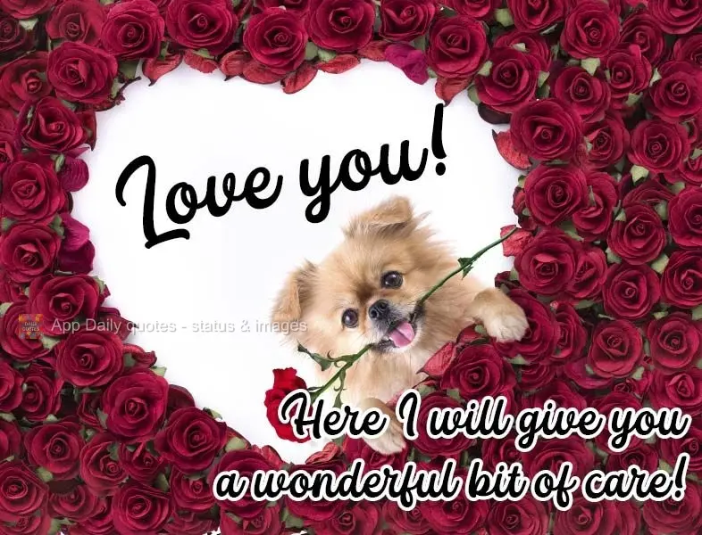 Vou deixar aqui um lindo carinho para você! Te amo! 