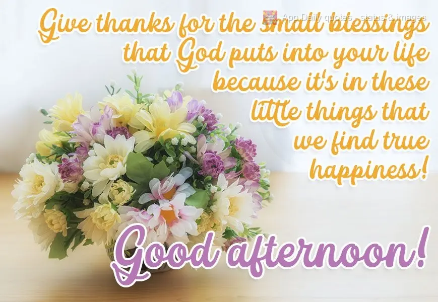 Agradeça as pequenas bênçãos que Deus coloca em sua vida, pois é nessas pequenas coisas que encontramos a verdadeira felicidade!  Boa tarde!