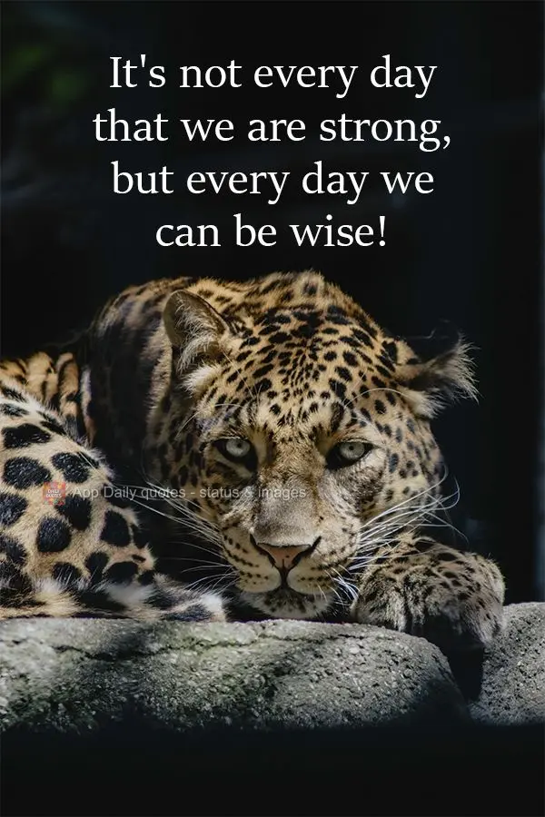 It's not every day that we are strong, but every day we can be wise! 