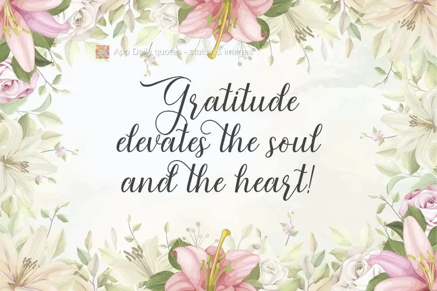 Gratitude elevates the soul and the heart! 