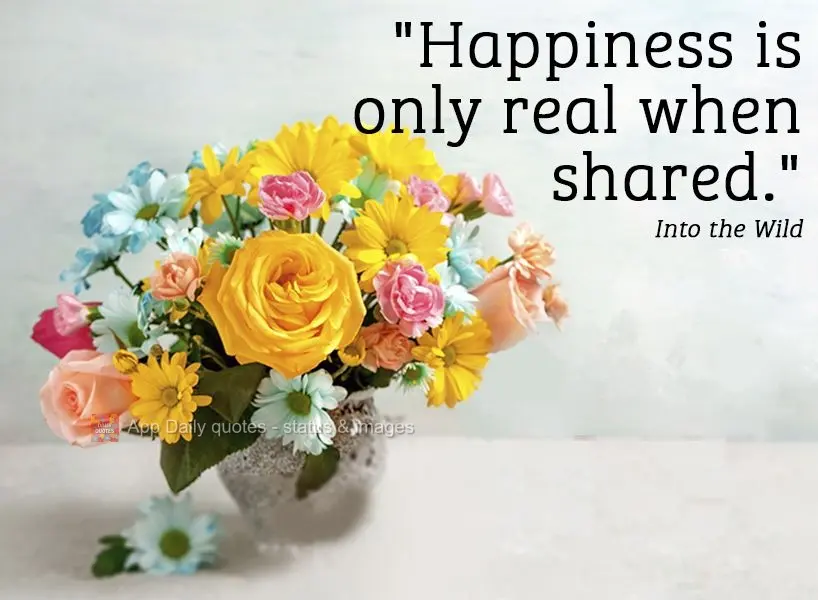 "Happiness is only real when shared." Into the Wild