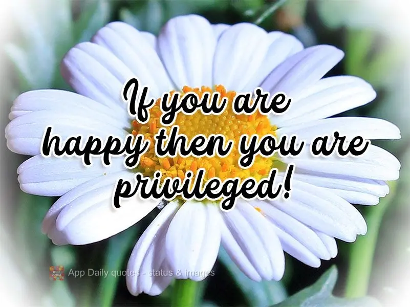 If you are happy then you are privileged! 