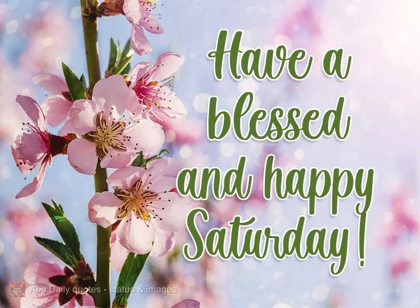 Tenha um feliz e abençoado Sábado!