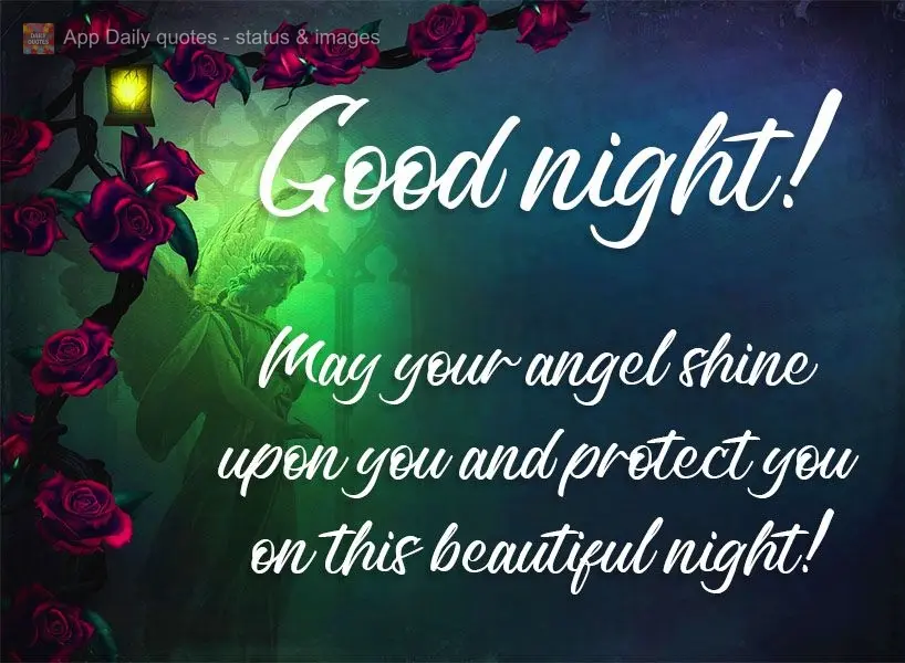 Que teu anjo te ilumine e te proteja nesta linda noite! Boa noite! 