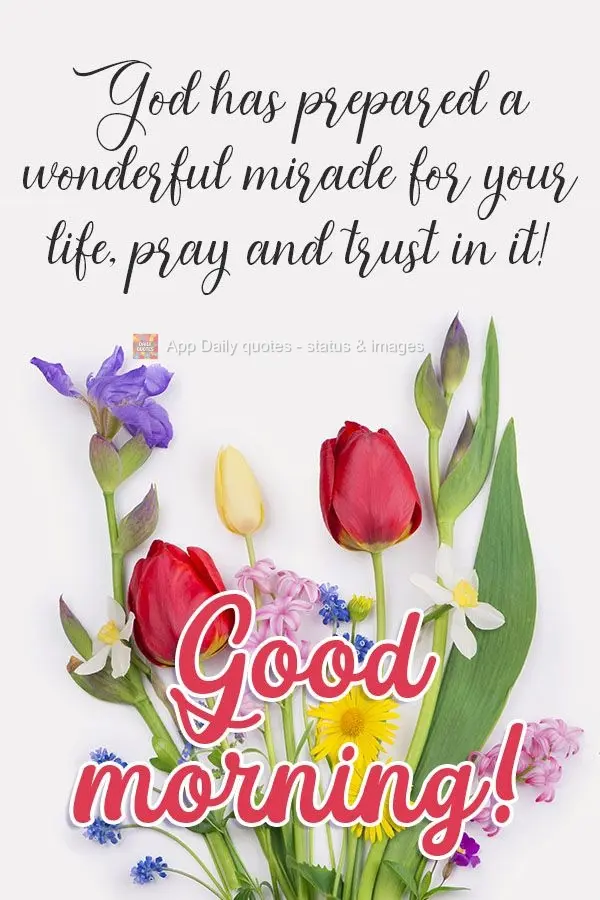 Deus tem preparado um lindo milagre em sua vida, ore e confie! Bom dia! 