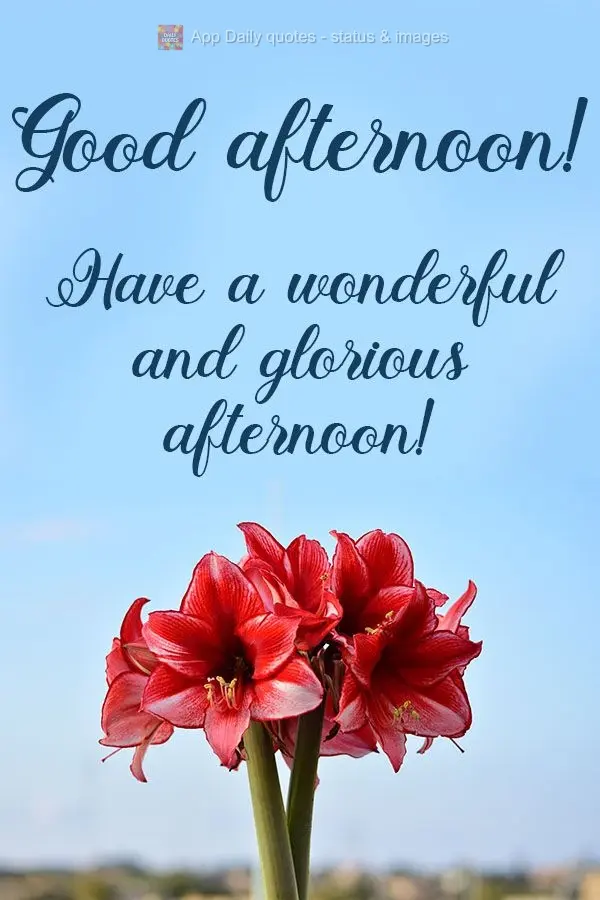 Have a wonderful and glorious afternoon!  Good afternoon! 
