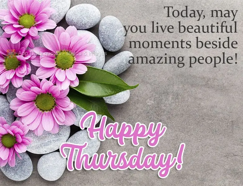 Today, may you live beautiful moments beside amazing people!  Happy Thursday! 