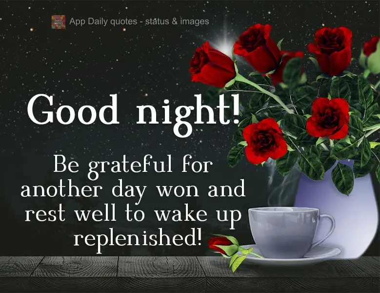 Seja grato por mais um dia vencido e descanse bem para acordar renovado! Boa noite! 