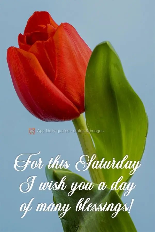 This Saturday I wish you a day of many blessings! 