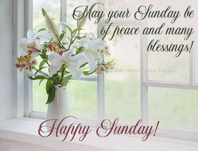 May your Sunday be peaceful and full of many blessings!  Happy Sunday! 