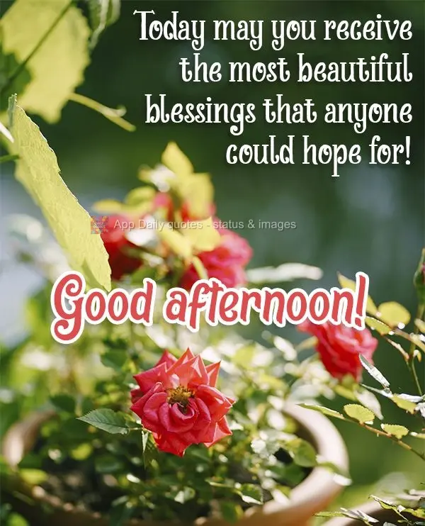 Today, may you receive the most beautiful blessings that anyone could hope for!  Good afternoon! 