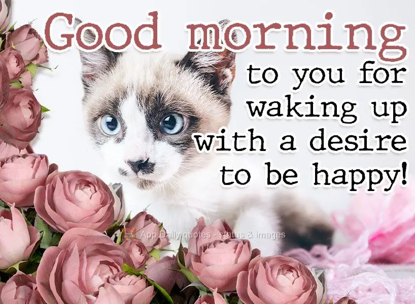 Good morning to you for waking up with a desire to be happy! 
