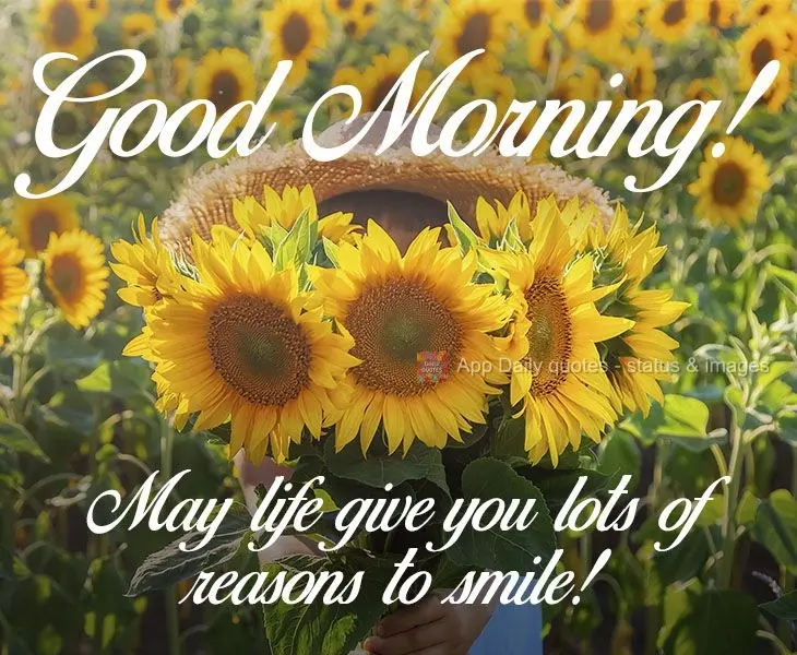 Que a vida lhe dê muitos motivos para sorrir!  Bom dia!