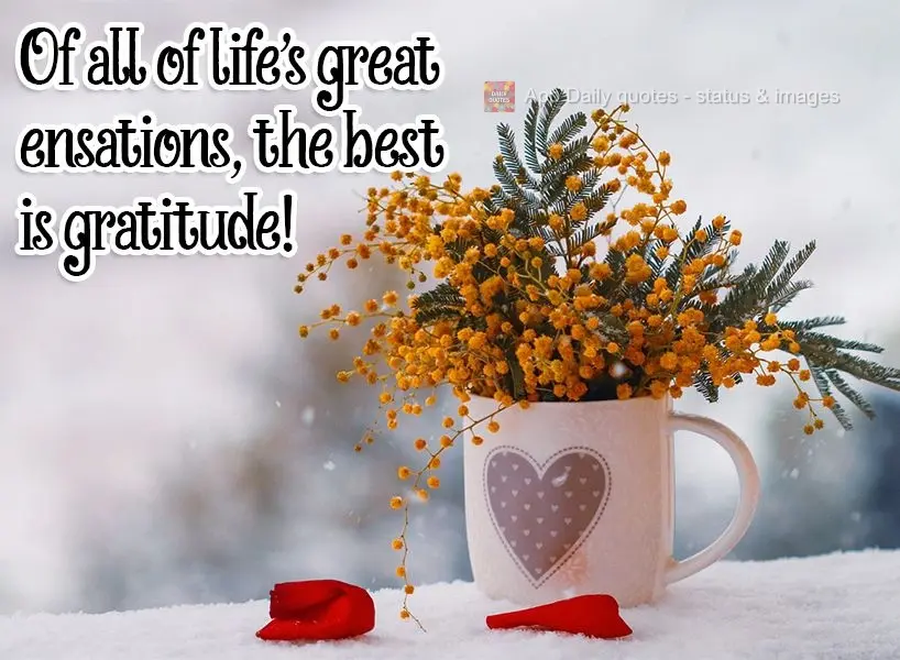 Of all of life's great sensations, the best is gratitude! 