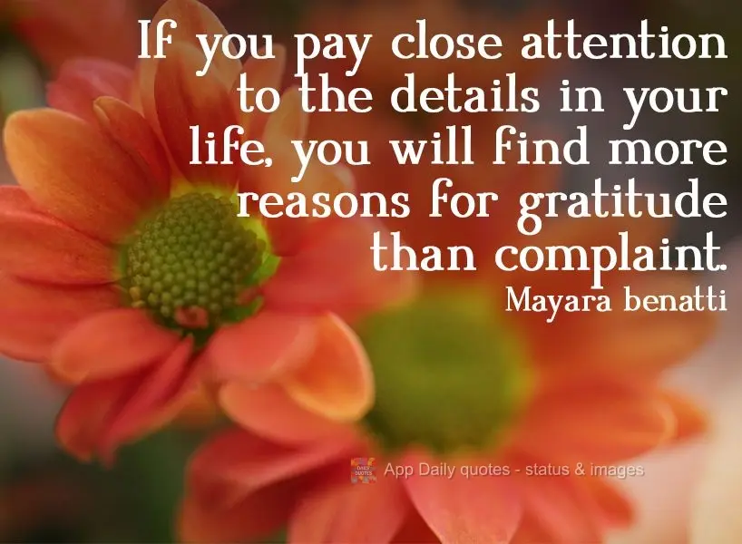 If you pay close attention to the details in your life, you will find more reasons for gratitude than complaint.  Mayara Benatti