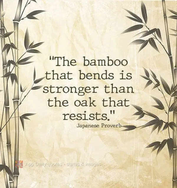 “The bamboo that bends is stronger than the oak that resists.” Japanese Proverb 