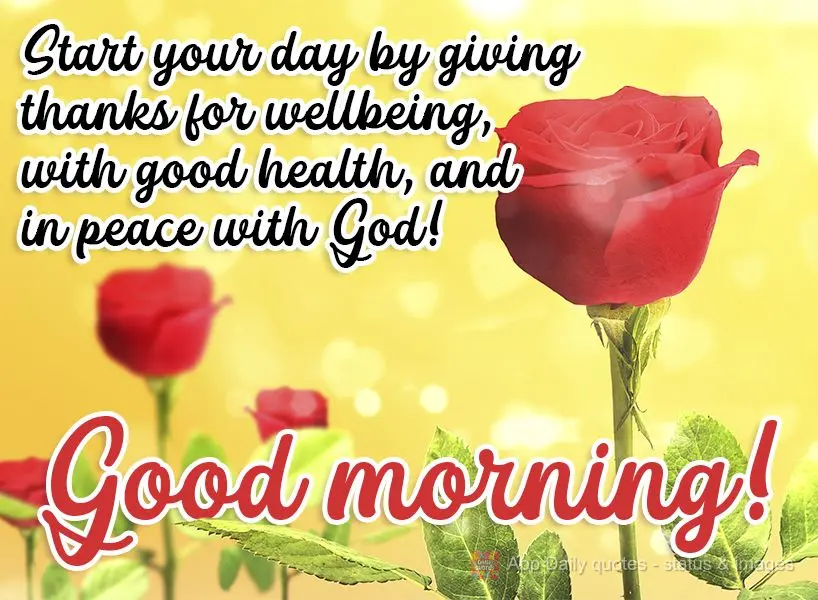 Comece o dia agradecendo por estar bem, com saúde e em paz com Deus! Bom dia! 