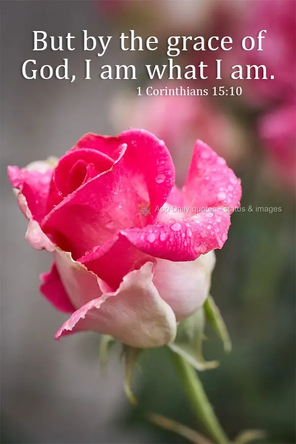É pela graça de Deus que sou o que sou.  Coríntios 15:10
