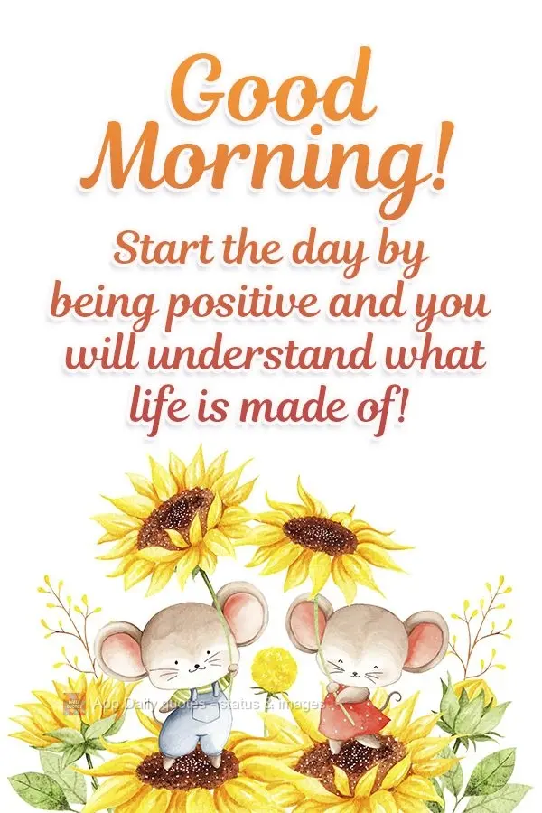 Comece o dia sendo positivo e entenderá do que a vida é feita! Bom dia! 