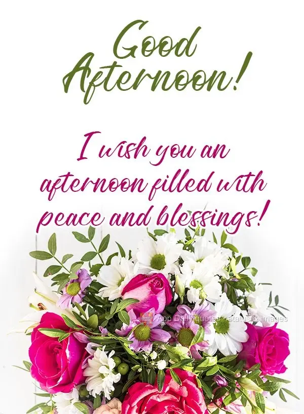 Desejo uma tarde cheia de paz e bênçãos!  Boa tarde!