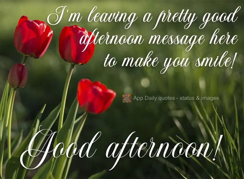 Vou deixar aqui uma linda mensagem de boa tarde pra fazer você sorrir! Boa tarde!