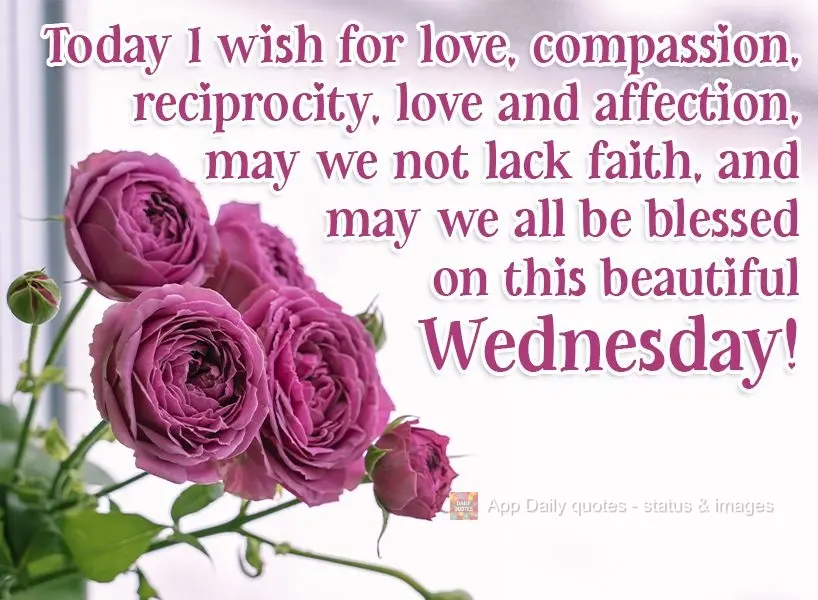 Pra hoje desejo amor, compaixão, reciprocidade e afeto; que não falte fé e que sejamos todos abençoados nesta linda Quarta-feira!