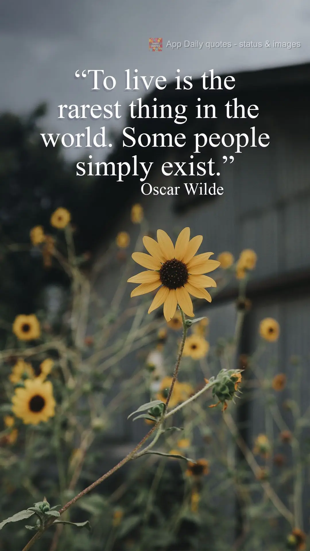 “To live is the rarest thing in the world. Some people simply exist.” Oscar Wilde