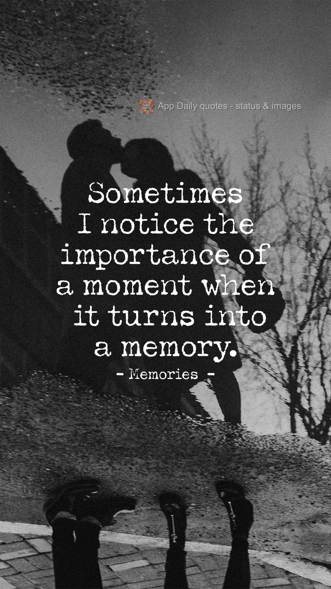 Sometimes I only notice the importance of a moment once it's turned into a memory.  Memories 