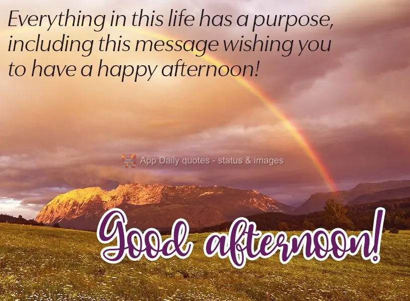 Everything in this life has a purpose, including this message wishing you a happy afternoon!  Good afternoon! 