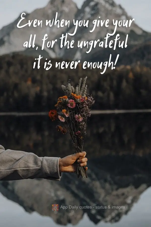 Mesmo que você dê o seu máximo, para o ingrato nunca estará bom!
