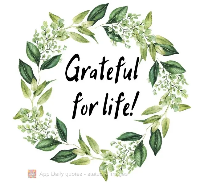 Be grateful to be alive! 