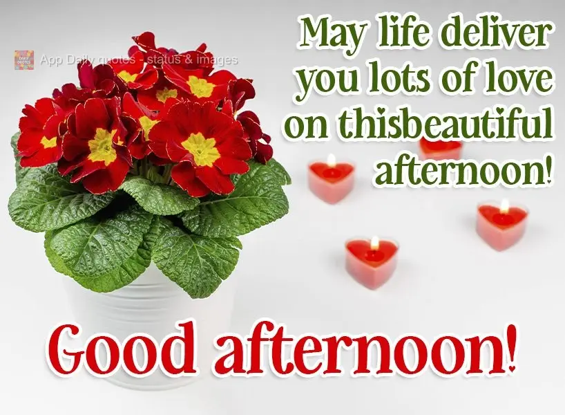 Que a vida lhe entregue muito amor nesta linda tarde! Boa tarde! 