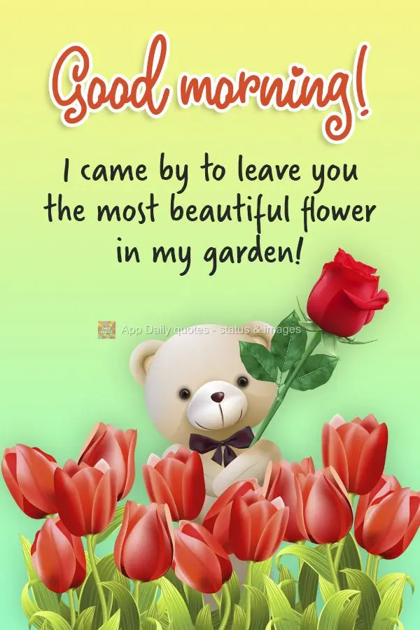 I came by to send you the most beautiful flower in my garden!  Good morning! 