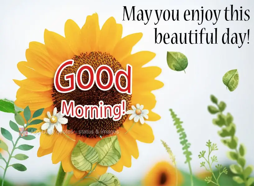 May you enjoy this beautiful day!  Good morning! 