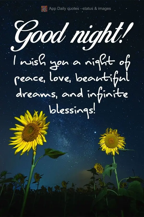 Desejo uma noite de paz, amor, lindos sonhos e infinitas bênçãos! Boa noite! 