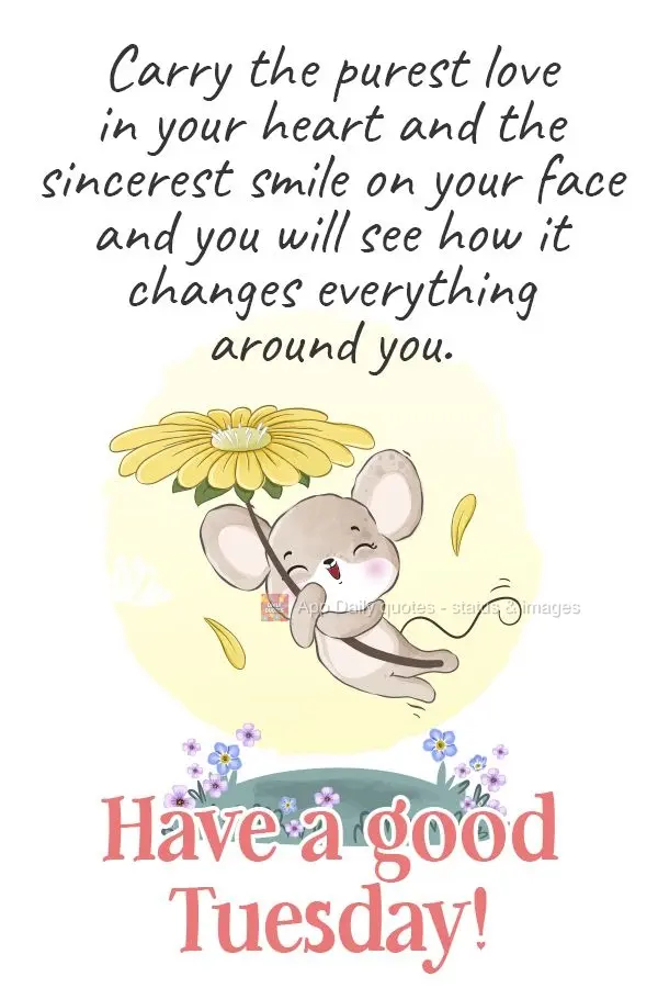 Carregue no coração o amor mais puro e no rosto o sorriso mais sincero, e verás como isso mudará tudo à sua volta.  Boa Terça-feira!