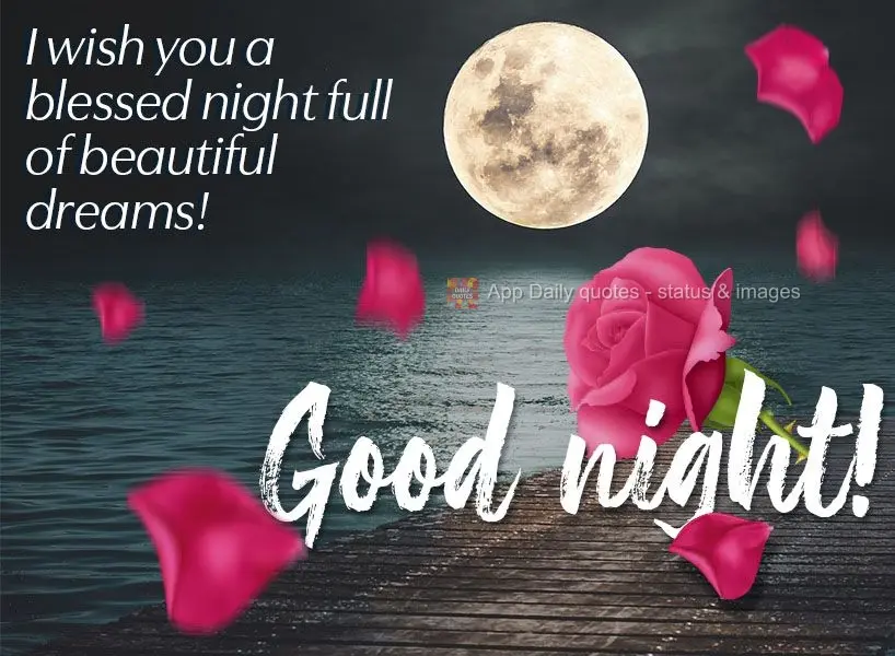 I wish you a blessed night full of beautiful dreams! Good night!