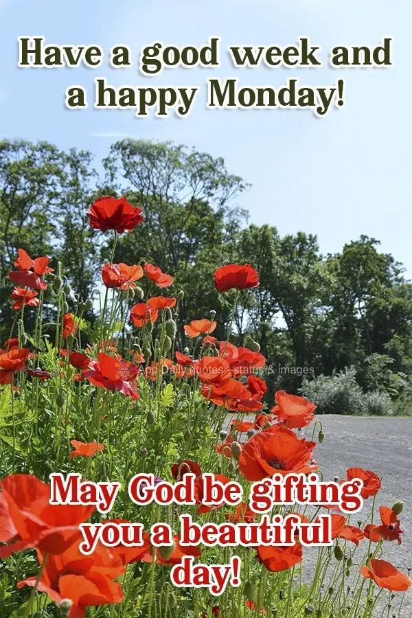 Have a good week and a happy Monday! May God grant you a beautiful day!