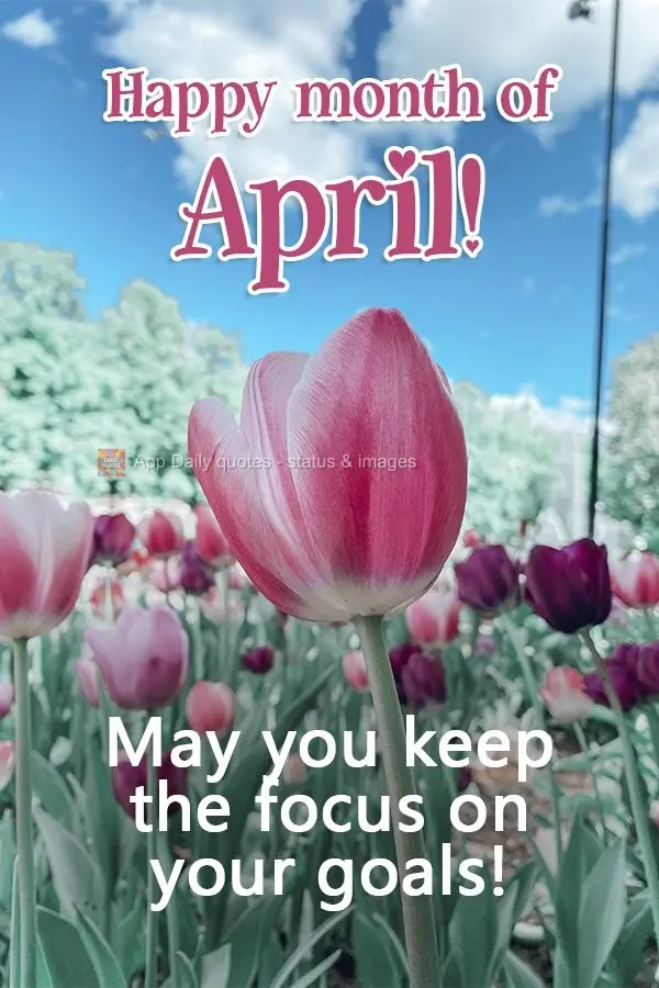 Que você mantenha o foco no seu objetivo! Feliz mês de Abril! 