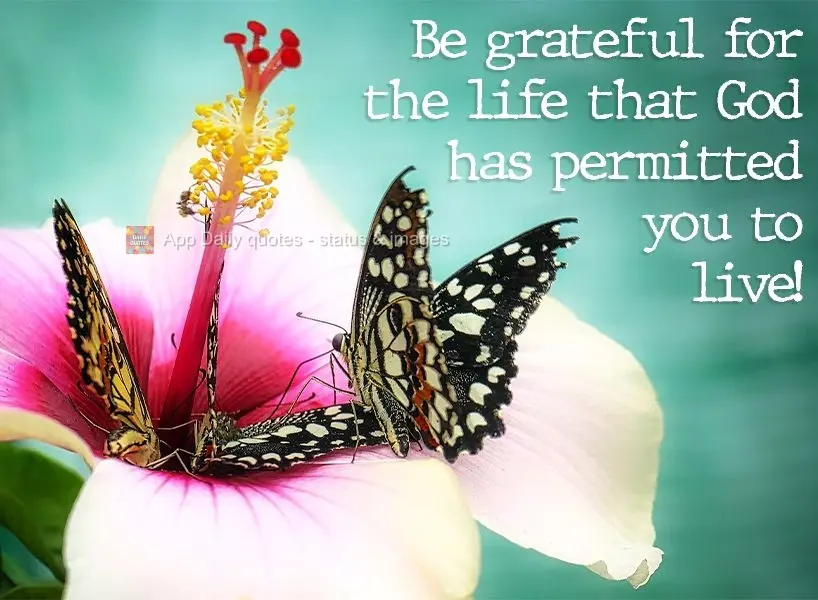 Be grateful for the life that God has permitted you to live!