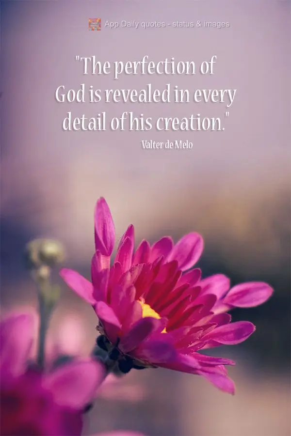 "The perfection of God is revealed in every detail of his creation." Valter de Melo