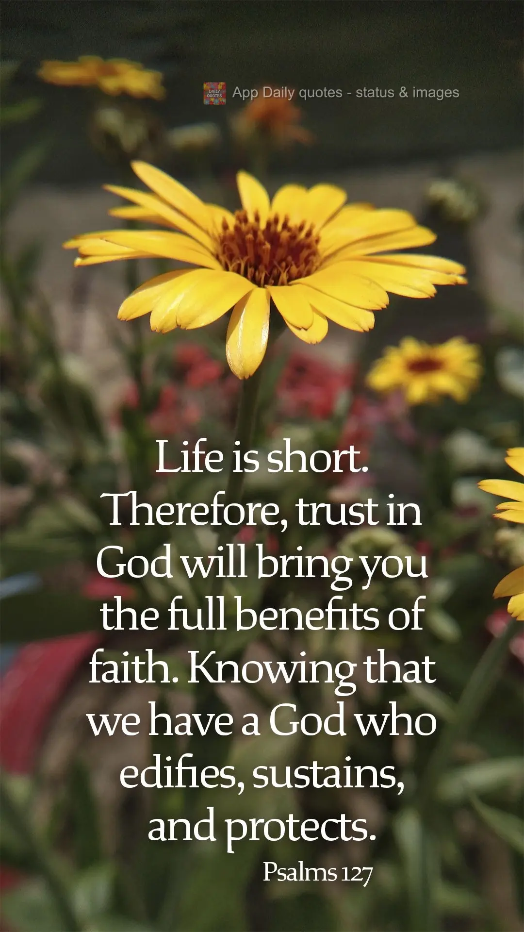 Life is short. Therefore, trust in God will bring you the full benefits of faith. Knowing that we have a God who edifies, sustains, and protects. Psalms ...