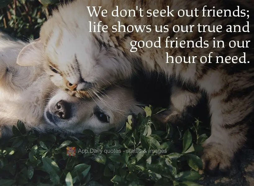 We don't seek out friends. Life is in charge of showing us our true and good friends in our hour of need.
