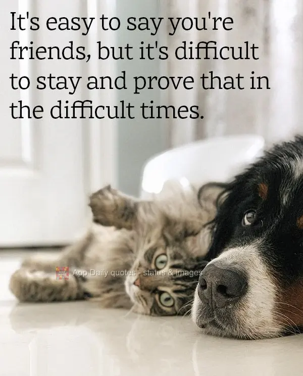 It's easy to say you're friends, but it's difficult to stick around and prove it in the difficult times.